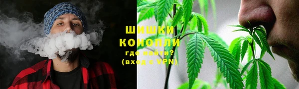 гидра Киреевск