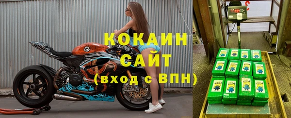 гидра Киреевск