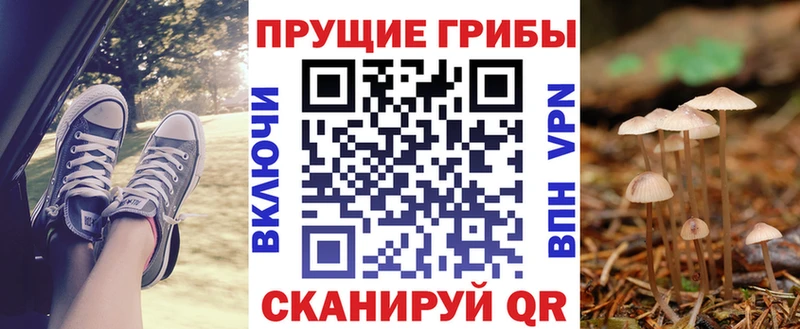 Купить где  Духовщина  Галлюциногенные грибы мицелий 